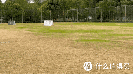 双11犬粮怎么选? 新手选粮焦虑症,有办法治了